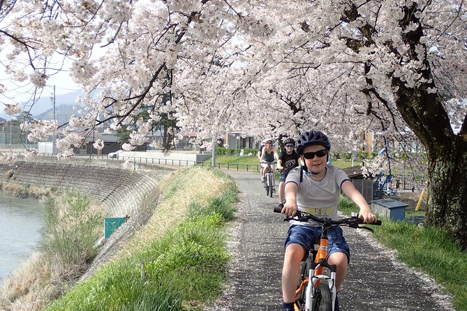Private Afternoon Cycling Tour in Hida-Furukawa - Weather and the limits of an outdoor tour