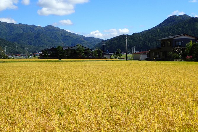 Private Afternoon Cycling Tour in Hida-Furukawa - Leaving the old town by bicycle