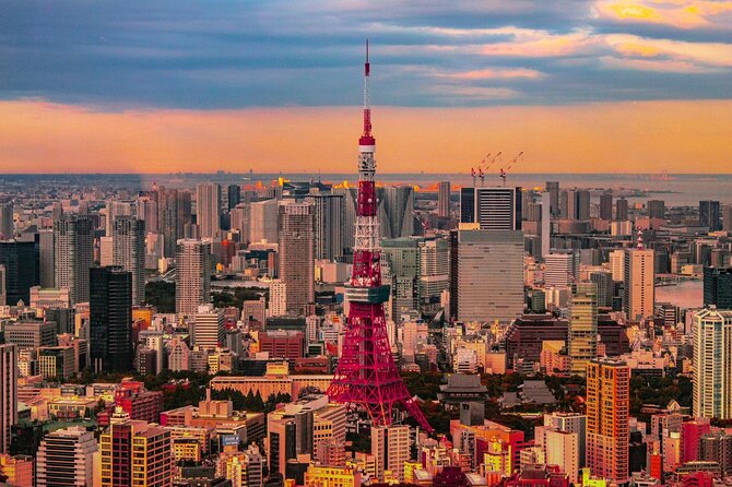 Private and Customisable Tokyo Tour with English Driver-guide - Why a private car can make sense in Tokyo