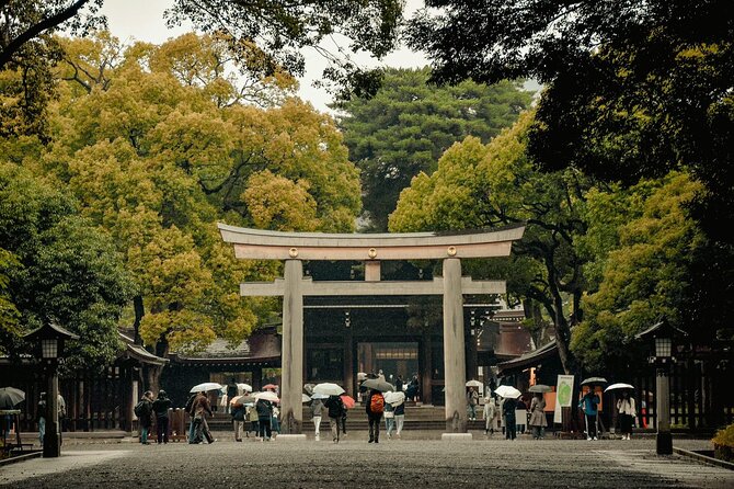 Private and Customisable Tokyo Tour with English Driver-guide - What the driver-guide adds