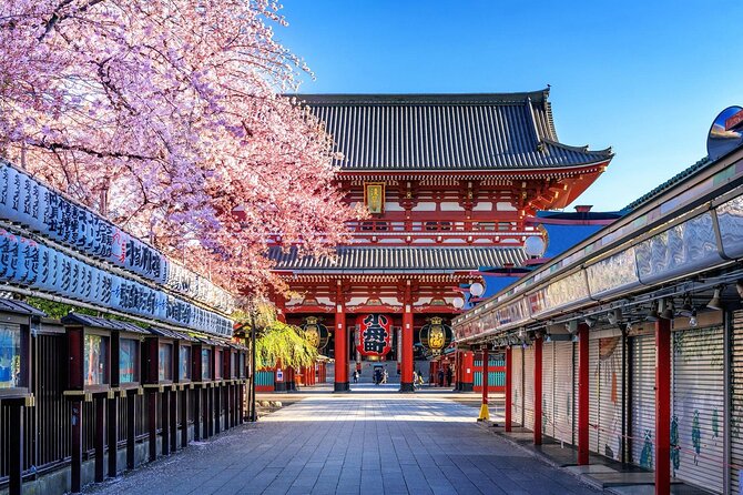 Private and Customisable Tokyo Tour with English Driver-guide - Comfort, pickup, and extra costs