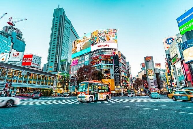 Private and Customisable Tokyo Tour with English Driver-guide - Who will get the most from this tour
