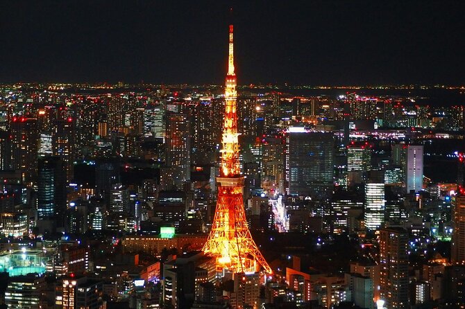 Private and Customisable Tokyo Tour with English Driver-guide - Odaiba and Tsukiji bring two very different Tokyo moods