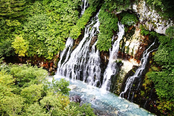 【Private Car】Asahiyama Zoo, Blue Pond, Shirahige Falls, Ningle Terrace (from Sapporo) - Why this Sapporo day trip works