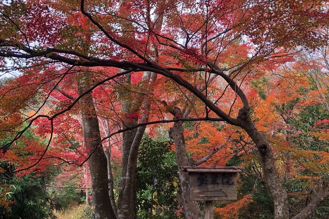 Private car tour in Kyoto (up to 4) - Gion: A Careful Look at Kyoto’s Geisha District