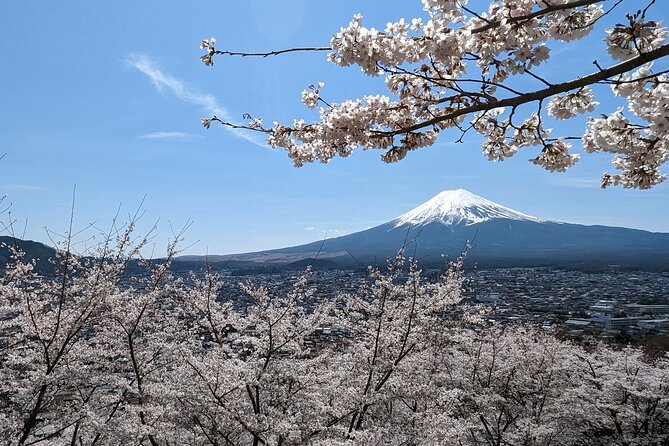 Private Car Tour to Mt. Fuji Lake Kawaguchiko or Hakone - Why a private Fuji day can be worth the cost