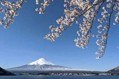 Private Car Tour to Mt. Fuji Lake Kawaguchiko or Hakone
