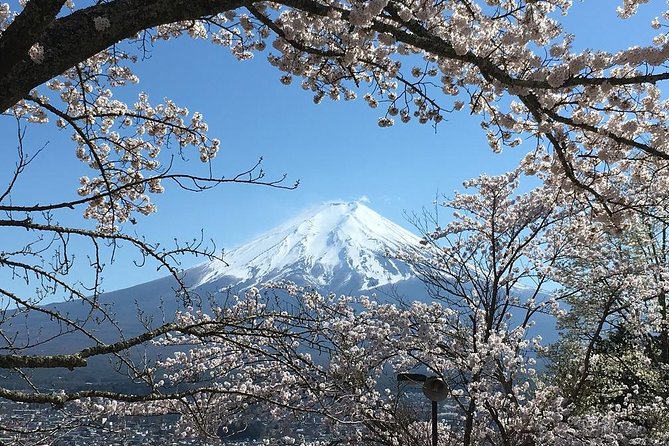 Private Car Tour to Mt. Fuji Lake Kawaguchiko or Hakone - Decide carefully about the Fuji Fifth Station
