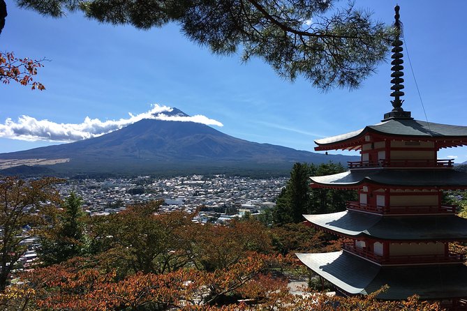 Private Car Tour to Mt. Fuji Lake Kawaguchiko or Hakone - Explore Aokigahara with care