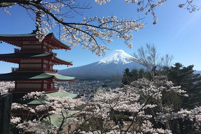 Private Car Tour to Mt. Fuji Lake Kawaguchiko or Hakone - Choose Hakone for volcanoes, water, and art