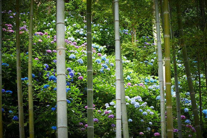 Private Car Tour to see Highlights of Kamakura, Enoshima, Yokohama from Tokyo - Start with Kamakura’s Great Buddha and Hasedera