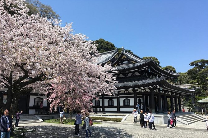 Private Car Tour to see Highlights of Kamakura, Enoshima, Yokohama from Tokyo - What the guides and drivers add