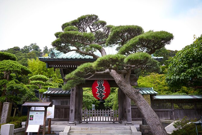 Private Car Tour to see Highlights of Kamakura, Enoshima, Yokohama from Tokyo - Tsurugaoka Hachimangu and Komachi Street