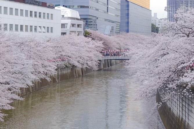 Private Custom Tour: Tokyo in a Day - Asakusa and Senso-ji: Tokyo’s old quarters