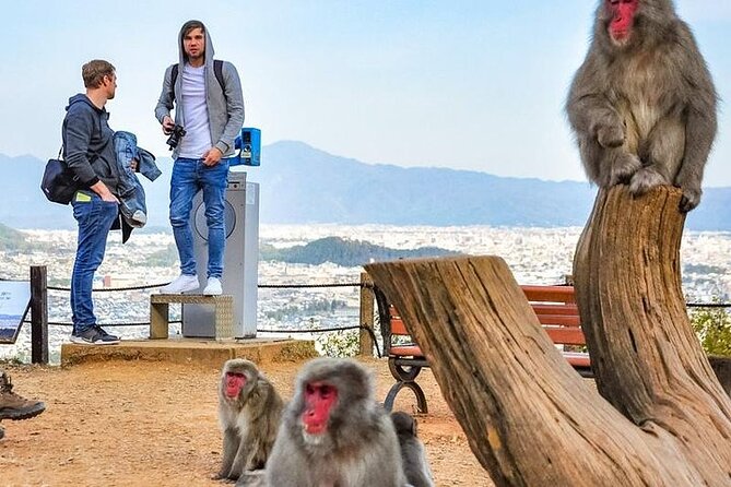 Private Day Tour - Kyoto Arashiyama & Bamboo Forest Perfect Tour! - Togetsukyo Bridge across the Katsura River