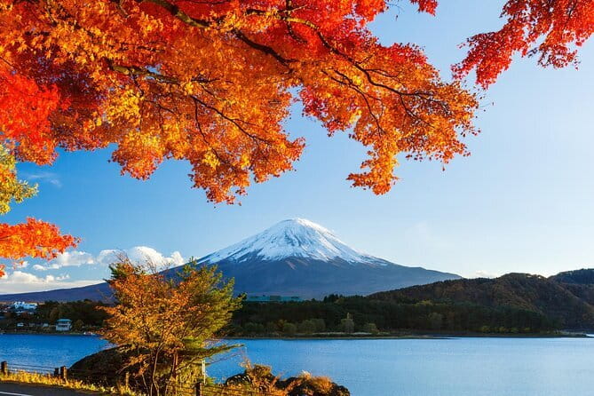 Private Fuji Full-day Car Tour with Hotel Pickup -Local Guide - Fuji World Heritage Centre for context