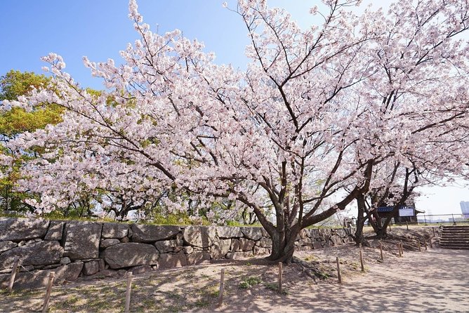 Private Fukuoka Tour with a Local, Highlights & Hidden Gems 100% Personalised - Ohori Park for a slower stretch