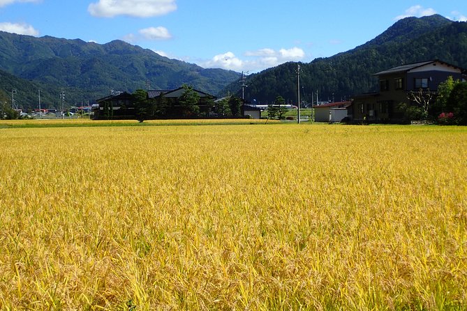Private-group Morning Cycling Tour in Hida-Furukawa - Weather can change the morning