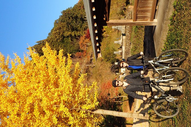 Private-group Morning Cycling Tour in Hida-Furukawa - Is $214.48 per person good value?