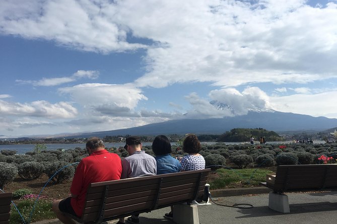 Private guided hidden gems tour by local English speaking driver - Shrines and old villages beyond the main photo stops