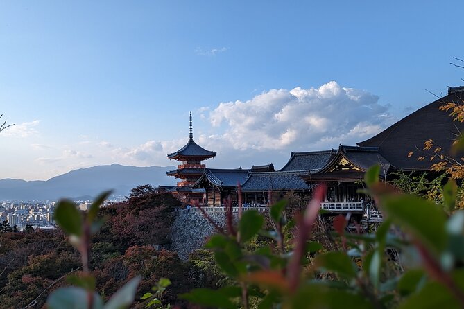 Private Guided Historical Sightseeing Tour in Kyoto - Kennin-ji for a quieter Zen pause