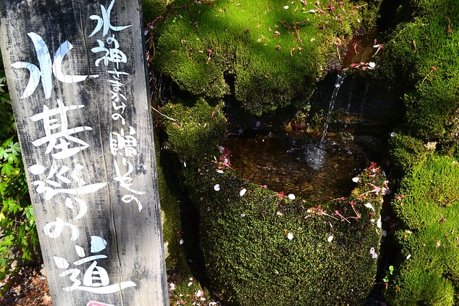 Private guided tour: Mt. Aso volcano, grasslands, Aso Shrine - Why this half-day Aso tour works