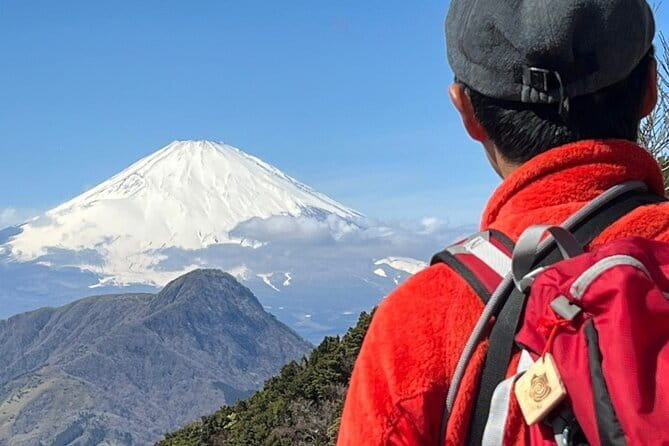 Private Hakone Half-day Car Tour with Hotel Pickup - Local Guide - Craft, food, and local stops