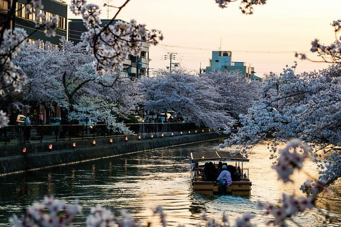 Private Kyoto Customizable Day Tour with English Speaking Driver - Arashiyama begins with bamboo, river views, and a full walking stop