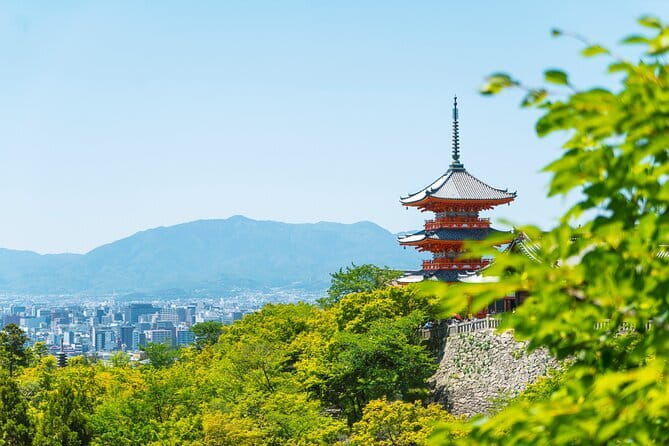 Private Kyoto Customizable Day Tour with English Speaking Driver - What the driver does, and what the driver may not do