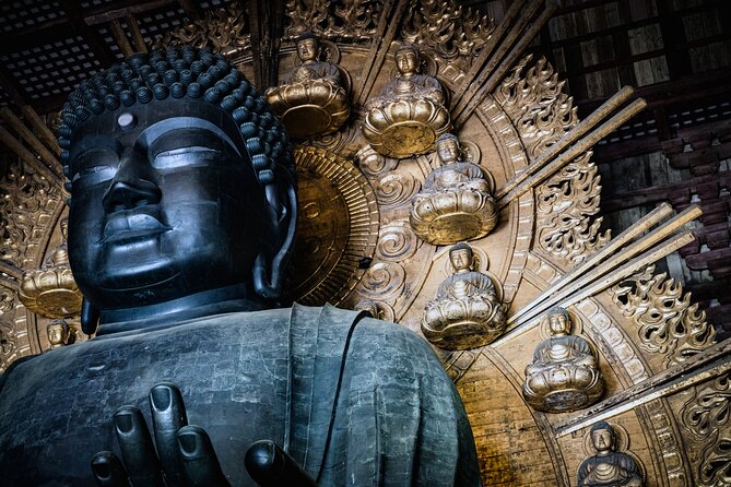 Private Kyoto Tour by Car with Optional Nara or Osaka Add-Ons - What the Osaka add-on can and cannot promise