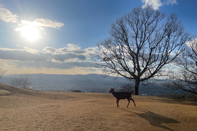 Private Kyoto Tour: Explore the Most Iconic Sights - Kiyomizu-dera and Kyoto’s hillside views