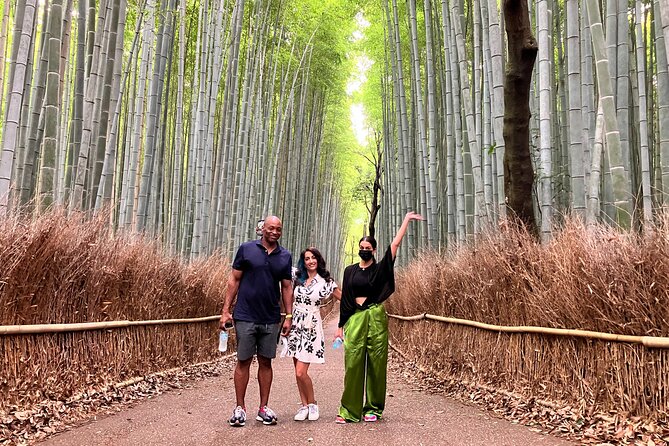 Private Kyoto Tour with Licensed Guide & Vehicle (Max 15 persons) - Kinkaku-ji, Nijo Castle, and imperial Kyoto