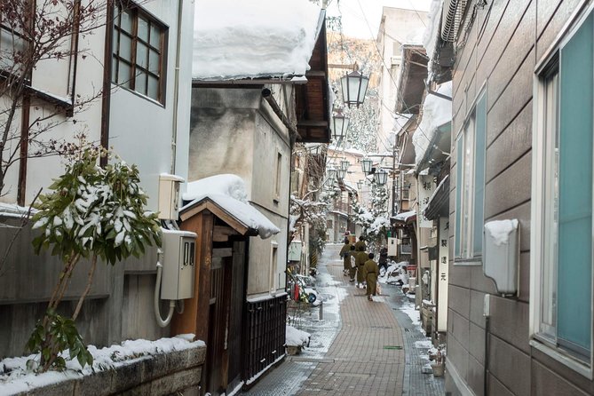 Private Nagano 1-Day Tour:Snow Monkeys,Zenko-ji,Obuse,Sake,Onsen - Jigokudani Snow Monkey Park, the day’s big draw