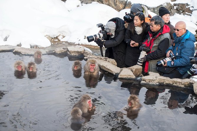 Private Nagano 1-Day Tour:Snow Monkeys,Zenko-ji,Obuse,Sake,Onsen - What the private guide adds
