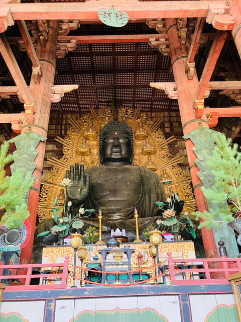 Private Nara Tour from Osaka – Meet at Your Hotel - Nara Park puts the deer beside the temples