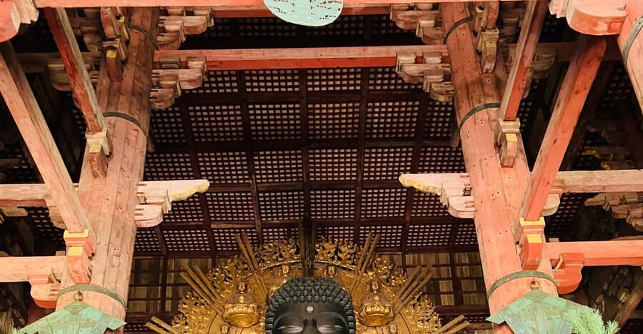 Private Nara Tour from Osaka – Meet at Your Hotel - Himuro Shrine adds a quieter religious stop