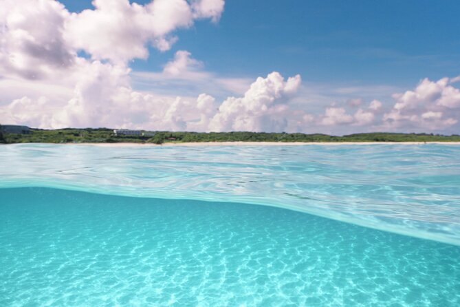 Private snorkeling tour Ishigaki island - What the private format is worth at $111.67