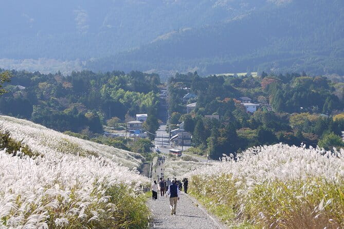 Private Tour - Hakone Day Trip! A Tour to Explore All Must-Sees! - Cu-mo Hakone and a welcome foot bath