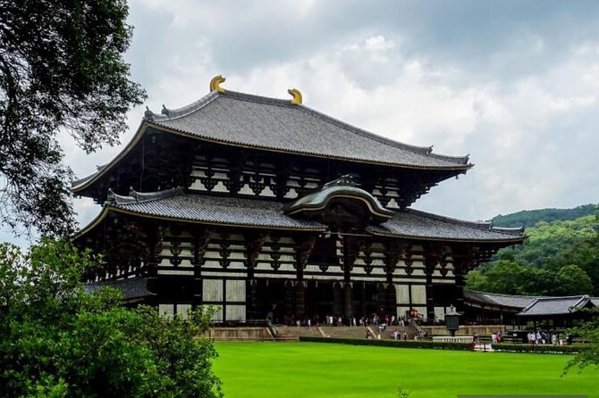 Private Tour Kyoto-Nara w/Hotel Pick Up & Drop off from Kyoto - Kinkakuji: Kyoto’s bright, polished icon