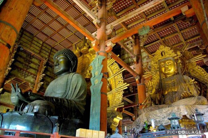 Private Tour Kyoto-Nara w/Hotel Pick Up & Drop off from Kyoto - Who will get the most from this day