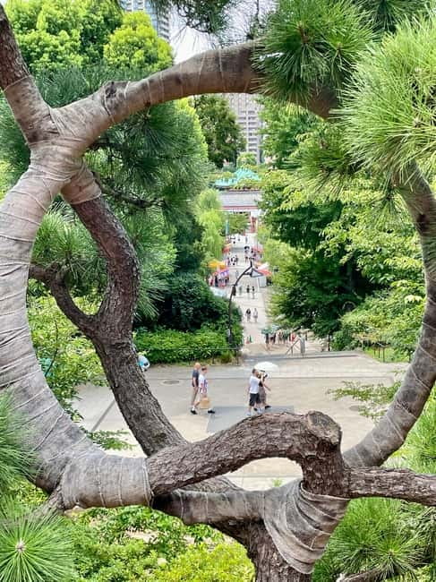 Private Tour Through the Tokyo National Museum & Ukiyo-e - Ueno Toshogu Shrine and Tokugawa connections