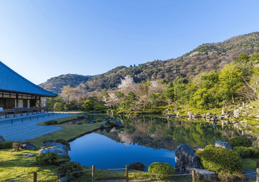 Private Tour to Monkey Park and Arashiyama Highlights - Togetsukyo Bridge Over the Oi River