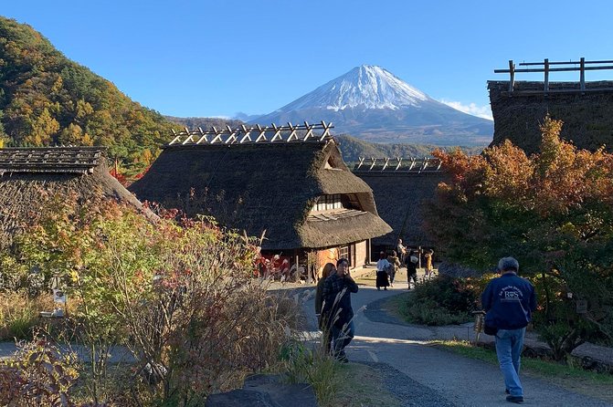 Private Tour to Mt. Fuji and Hakone (Fully Licenced Operator) - Why a private car makes sense from Tokyo