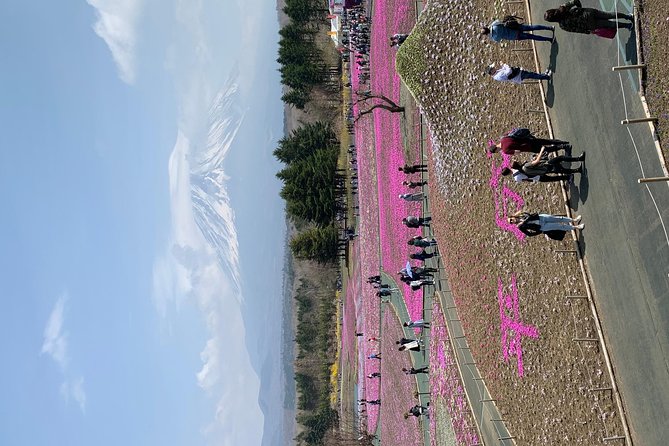 Private Tour to Mt. Fuji and Hakone (Fully Licenced Operator) - Lake Kawaguchi gives you the classic Fuji views