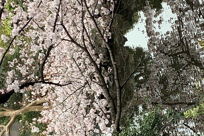 Private Tour to Mt. Fuji and Hakone (Fully Licenced Operator) - Oshino Hakkai adds village life and local food