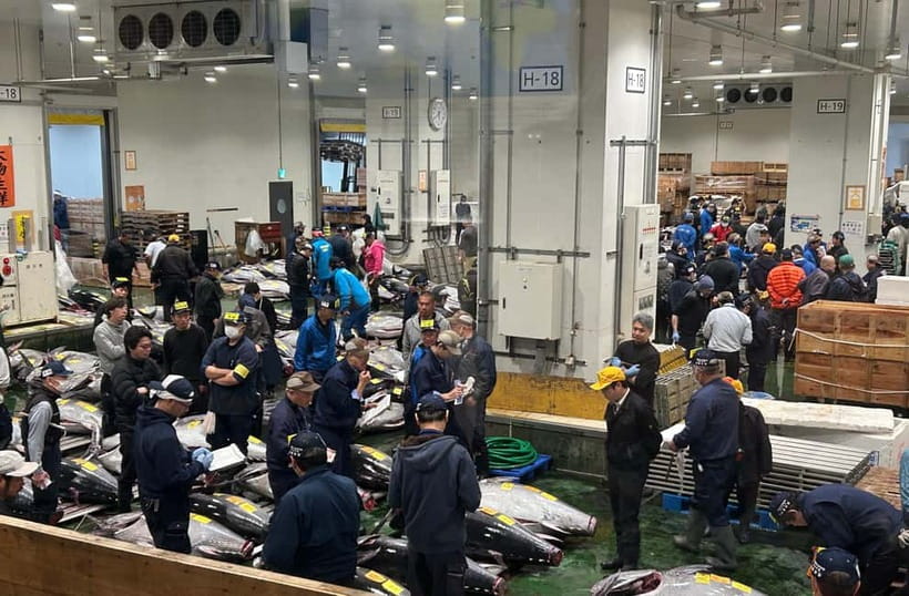 Private Toyosu & Tsukiji Market Adventure with Tuna Auction - Toyosu’s modern market and professional trading floor