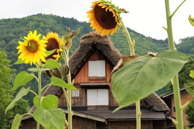 Private transfer Kanazawa to Takayama Including Shirakawago - Key points to know before booking