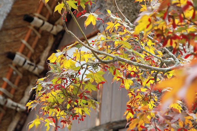 Private transfer Kanazawa to Takayama Including Shirakawago - What you are paying for at $269.23 per person