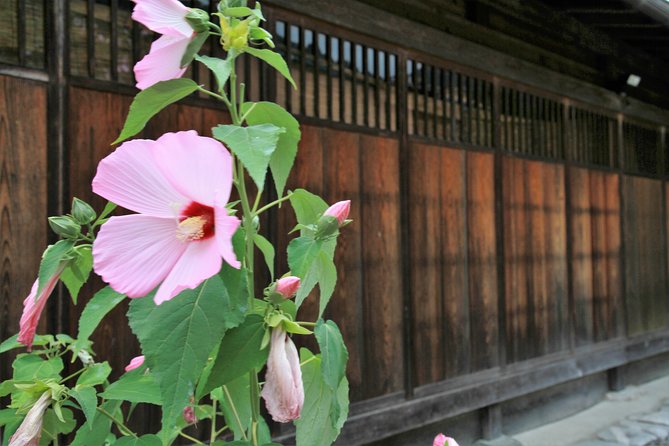 Private transfer Kanazawa to Takayama Including Shirakawago - The human side of the transfer