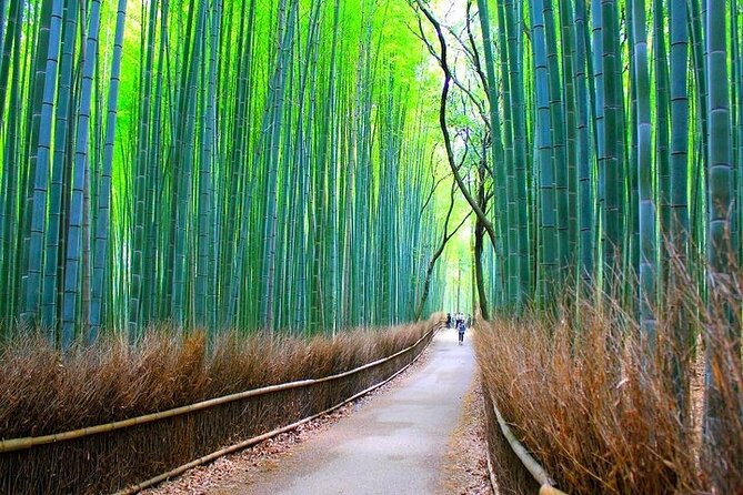 Private Walking Tour in Bamboo Forest & Hidden Spots in Arashiyama - Walking through the famous bamboo grove